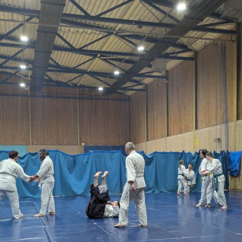 PXL_20250409_192414001.MP~2