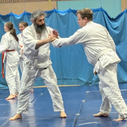 PXL_20250409_192728943~2