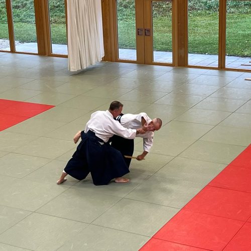 ab3e95aa-ca1e-48d3-8ec0-213e358e9cda